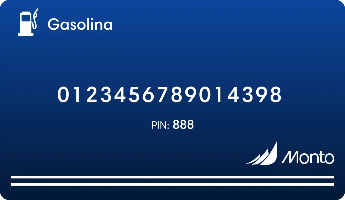 Monto - Gasolina y despensa
